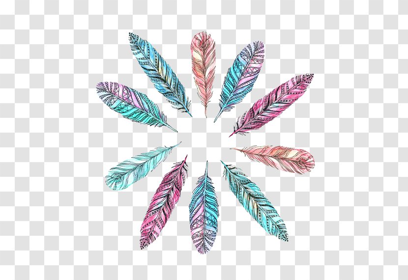Bird Eagle Feather Law Desktop Wallpaper Drawing - Feathers Transparent PNG