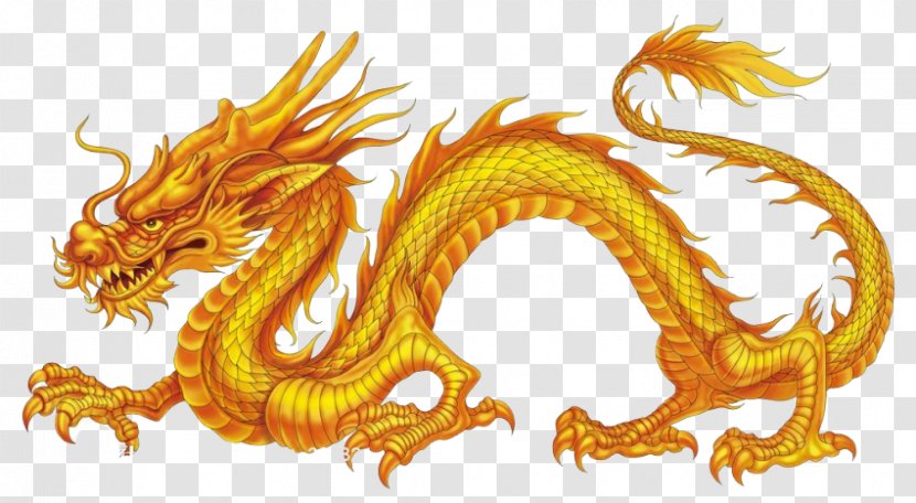 China Chinese Dragon Nine-Dragon Wall Japanese - Organism Transparent PNG