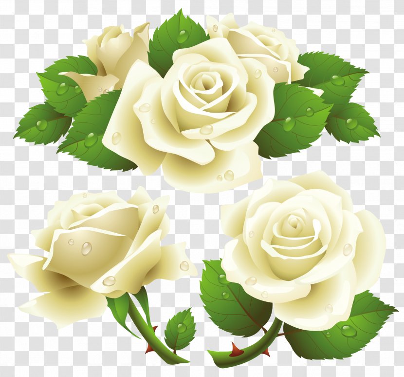 Rose White Clip Art - Royaltyfree - Roses Transparent PNG