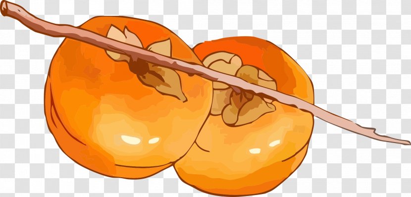 Persimmon Fruit - Cello - Two Transparent PNG