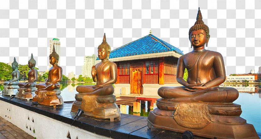 Sigiriya Colombo Negombo Kandy Galle - Beautiful Thai Buddha Transparent PNG