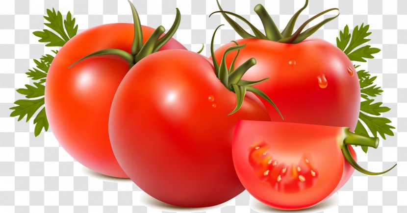 Tomato Cartoon - Plum - Nutraceutical Whole Food Transparent PNG