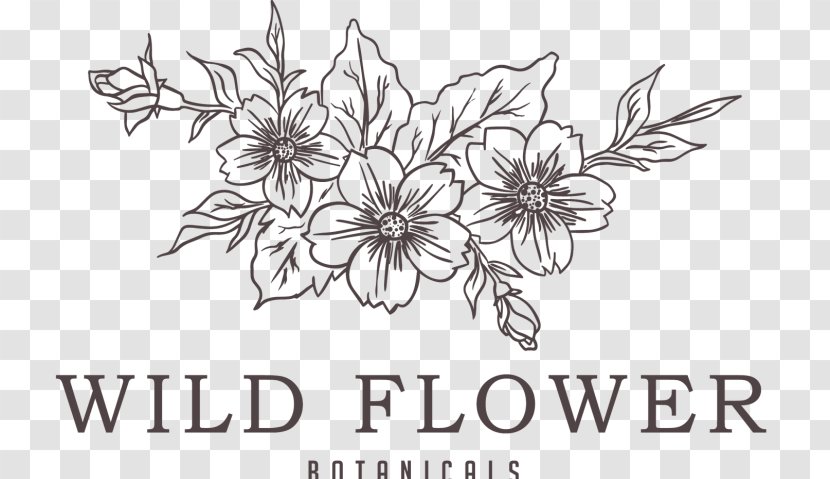 Paper Vector Graphics Drawing Floral Design - Coffee Transparent PNG