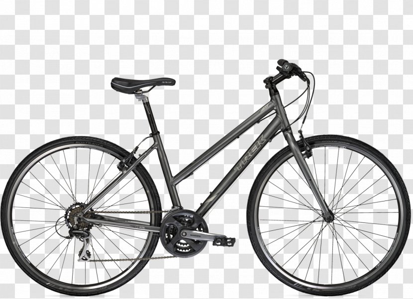 Trek Bicycle Corporation FX 2 Disc 1 Stagger, 15