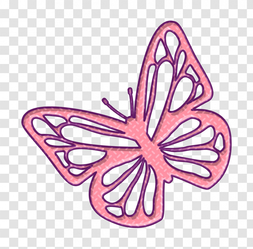 Butterfly Top View Icon Butterfly Icon Butterflies Icon Transparent PNG