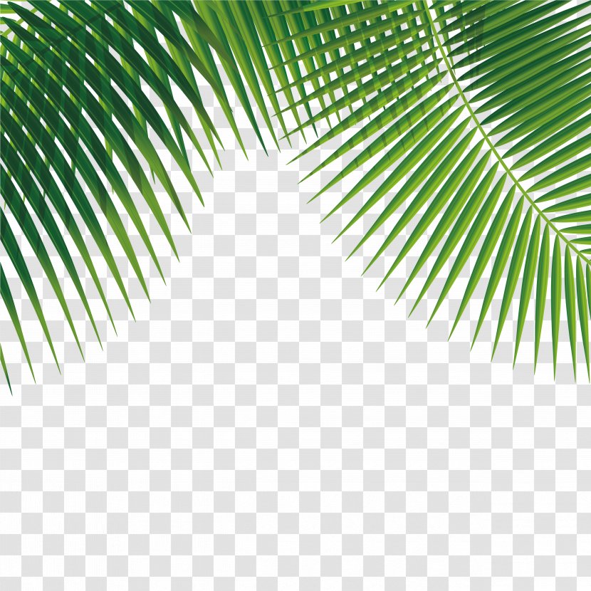 Leaf Euclidean Vector - Template - Small Fresh Island Tour Transparent PNG
