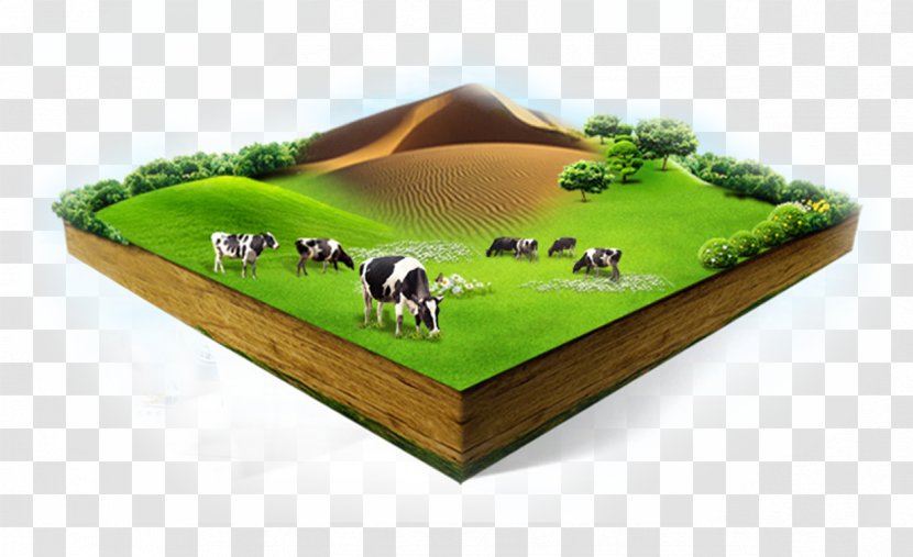 Soured Milk Cattle Organic Food Cows - Yogurt - Dairy Cow Transparent PNG
