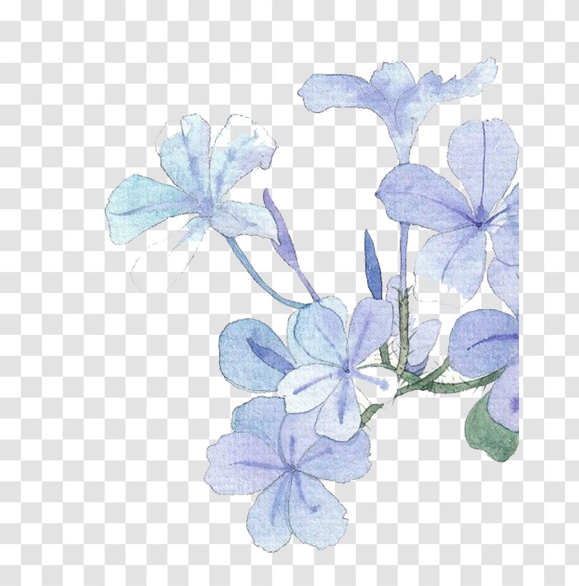 Watercolor Painting Flower Baidu Tieba - Flowers Transparent PNG