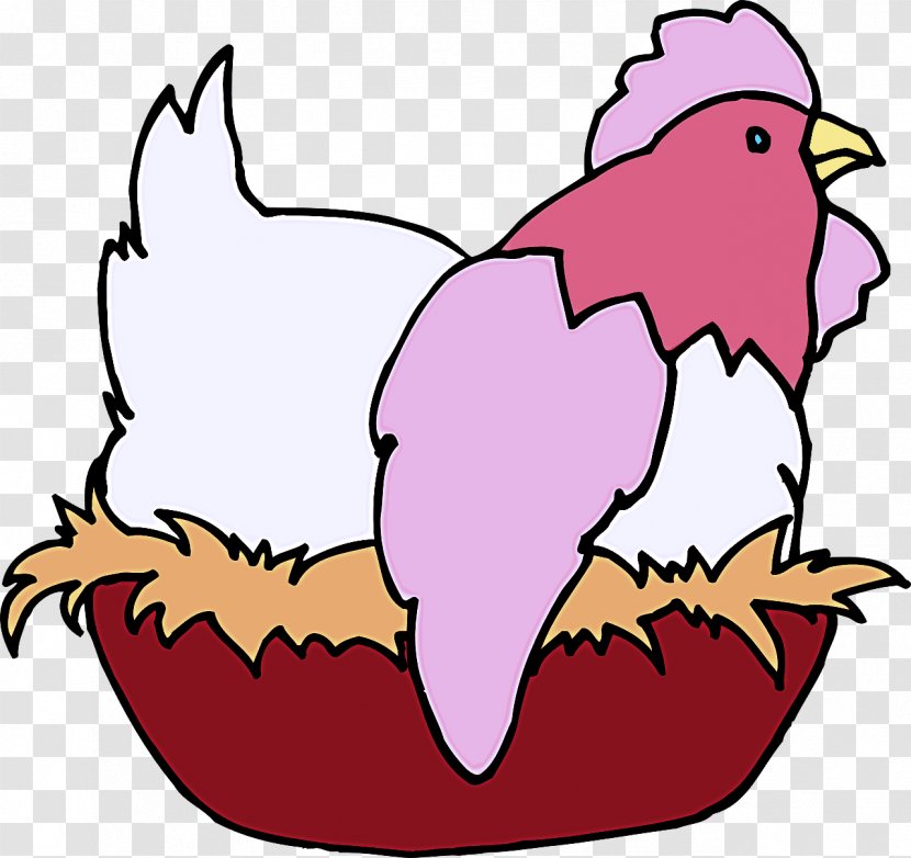 Chicken Bird Beak Rooster Transparent PNG