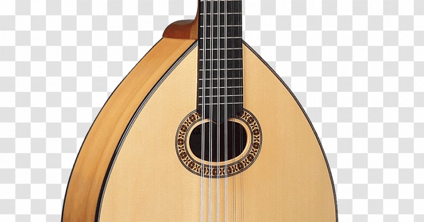 Acoustic Guitar Cuatro Cavaquinho Ukulele Tiple - Flower Transparent PNG