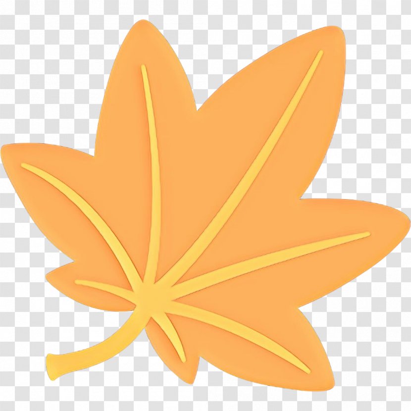 Orange Flower - Petal - Plant Transparent PNG