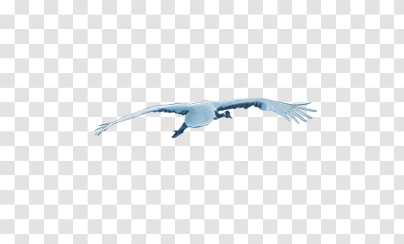 Crane Paper Download Clip Art - Wing - Stock Photos Transparent PNG