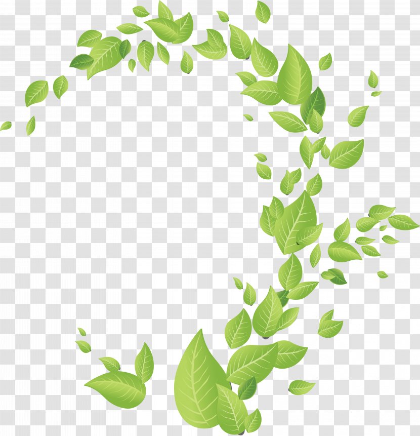 Leaf Natural Landscape - Royaltyfree - Water Color Transparent PNG