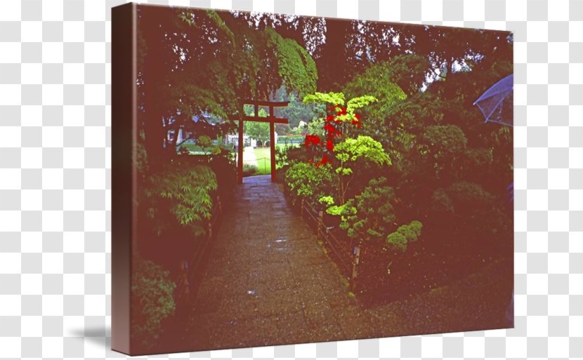 Painting Tree - Japan Garden Transparent PNG