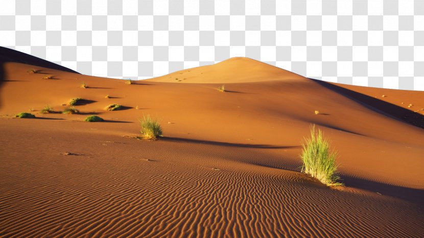 Namib Desertification - Dune - Serious Transparent PNG