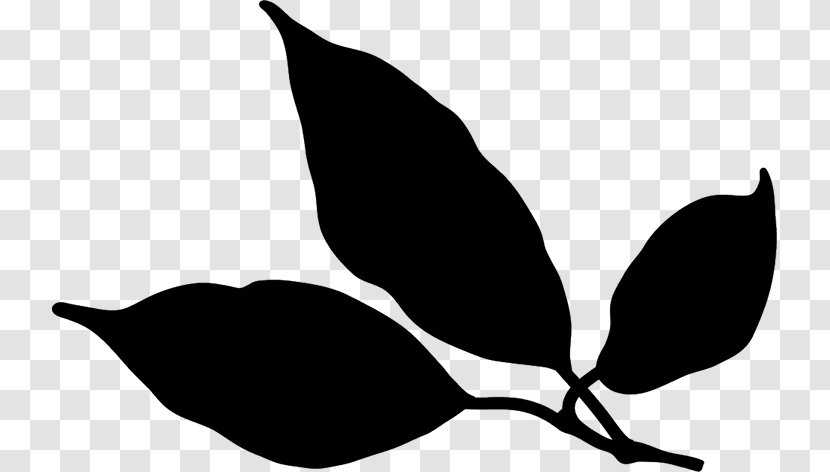 Clip Art Black & White - Photography - M Leaf Plant Stem Flower Transparent PNG