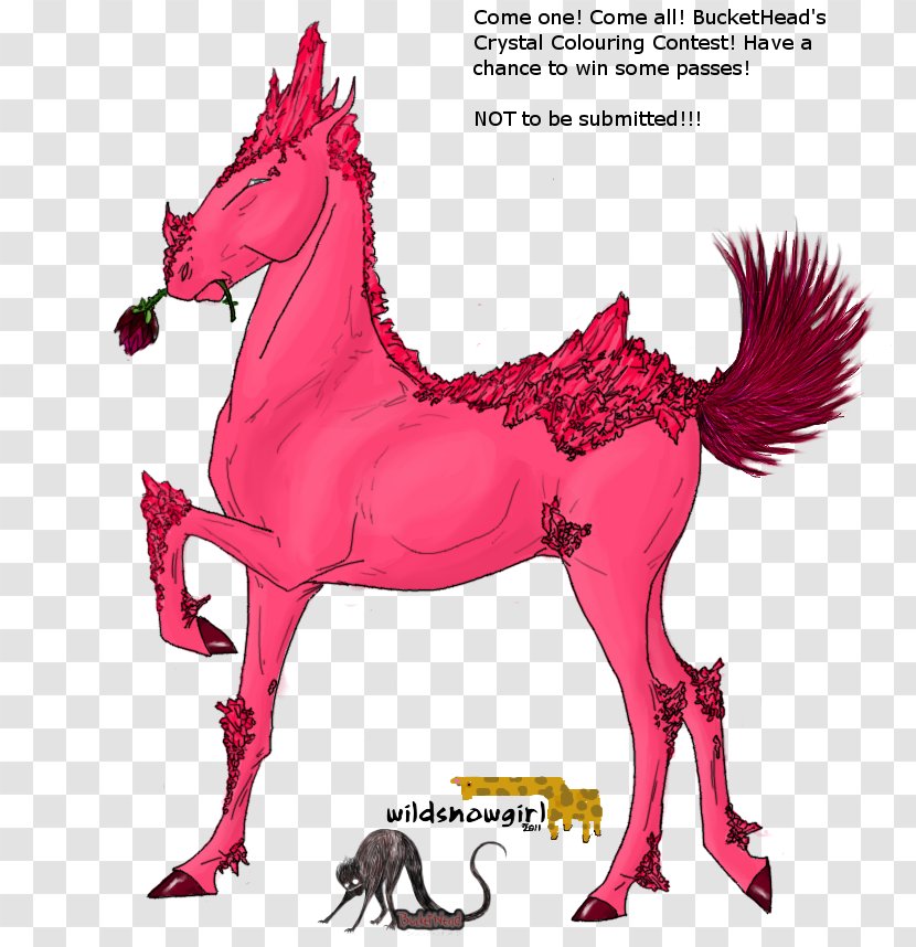 Mane Mustang Illustration Pack Animal Fauna - Art Transparent PNG