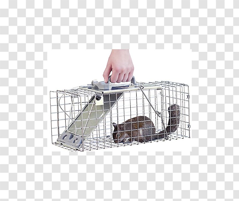 Trapping Cage Pet Door Dog Havahart - Critters - Mouse Trap Transparent PNG