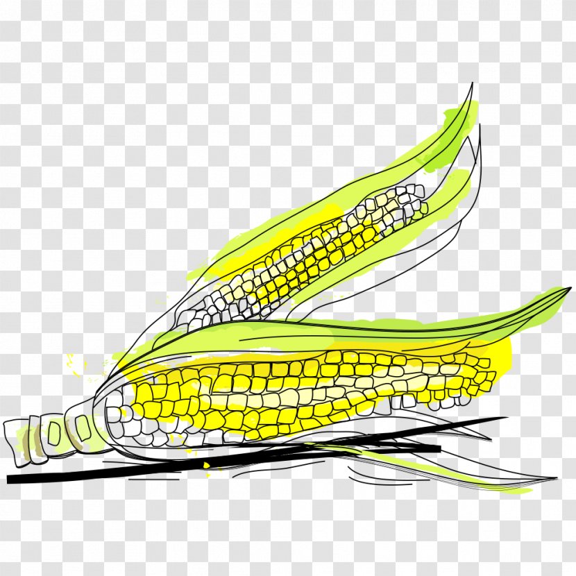 Icon - Maize - Corn Transparent PNG
