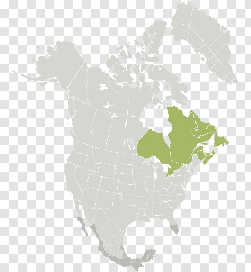 United States Blank Map Globe - Image Transparent PNG