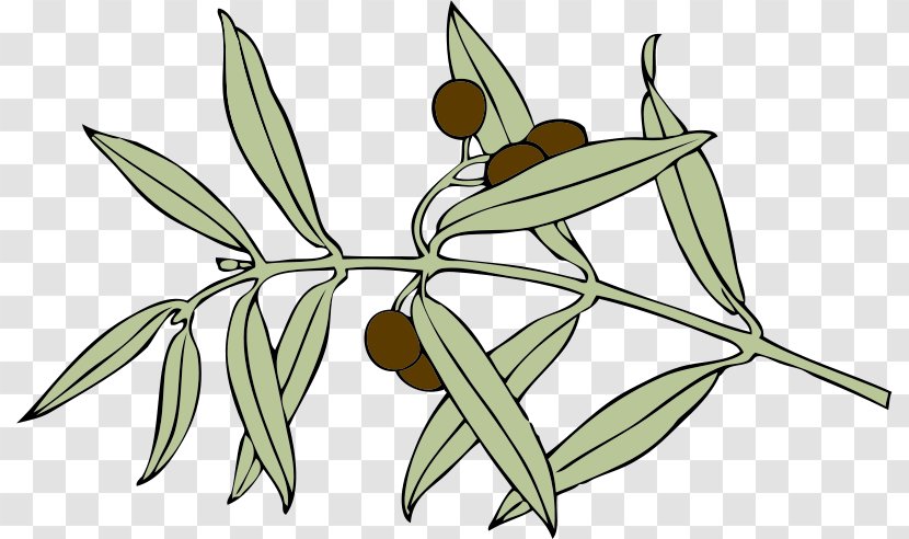 Avli The Little Greek Tavern Chicken As Food Branch Gyro - Plant Stem - Grass Family Transparent PNG