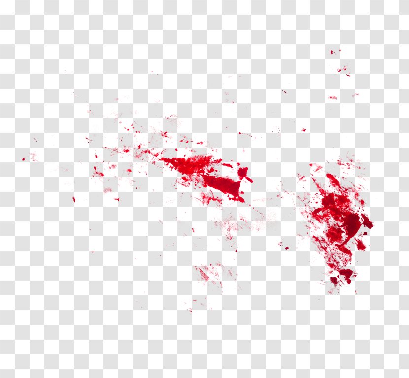 Blood Red Excretory System Kidney 4096: Free - Watercolor Transparent PNG