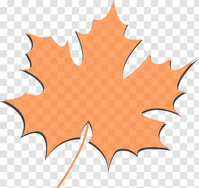 Maple Leaf - Tree - Plant Woody Transparent PNG