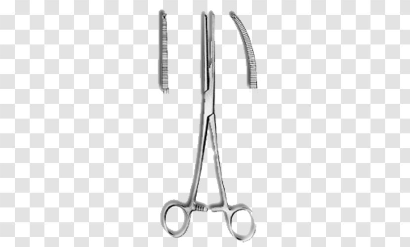 Hemostat Tweezers Surgery Forceps Surgical Instrument - Episiotomy - Pean Transparent PNG