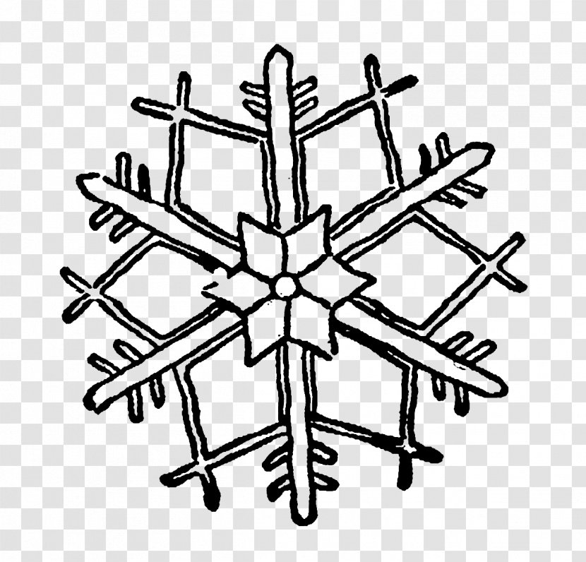 Drawing Snowflake Clip Art - Black And White Transparent PNG