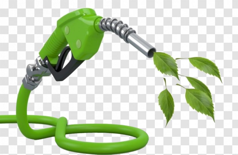 Biofuel Renewable Energy Biodiesel Development - Bio Fuel Transparent PNG