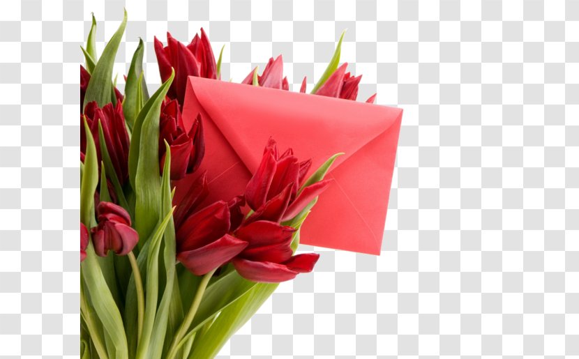 Tulip Desktop Metaphor Flower Holiday Wallpaper - Arranging - Flowers Envelope Transparent PNG
