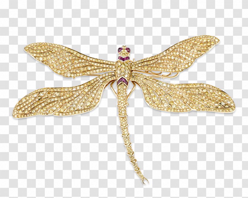 Brooch Diamond Color Jewellery Gold - Yellow Flyer Transparent PNG
