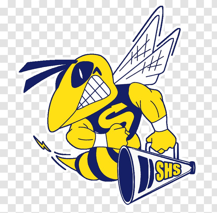 Saline High School Charlotte Hornets Alternative Sport - Michigan - Art Transparent PNG