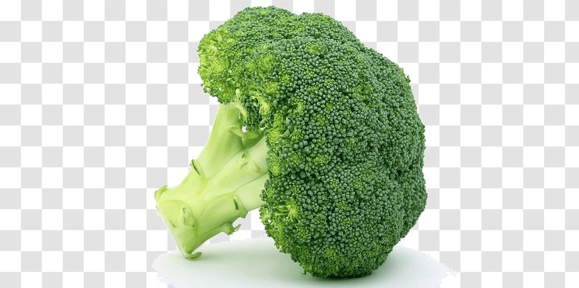 Broccoli Food Cauliflower Cooking - Grass Transparent PNG