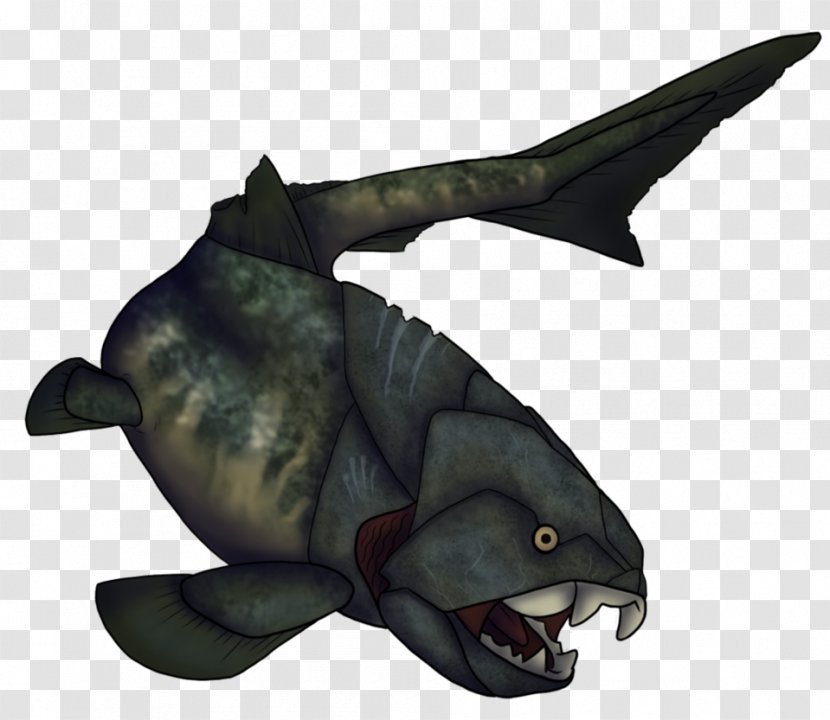 Shark Late Devonian Extinction Prehistoric Fish Arthrodira Transparent PNG