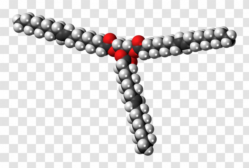 Stearin Molecule Triglyceride Triolein Fat - Ester Transparent PNG