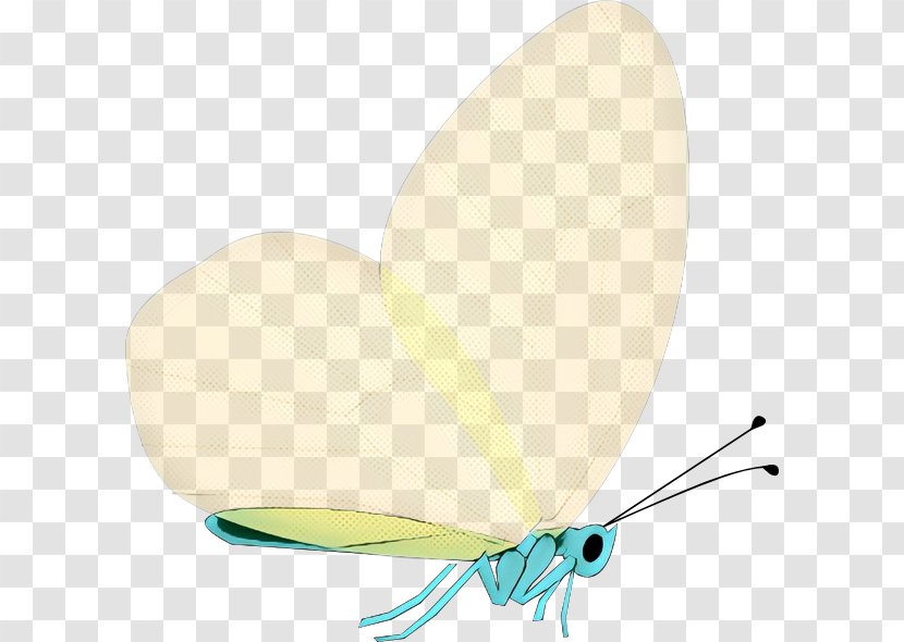 Retro Background - Insect - Wing Pollinator Transparent PNG