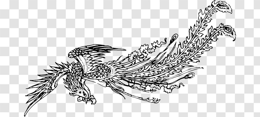 Bird Fenghuang - Art - Black Phoenix Transparent PNG