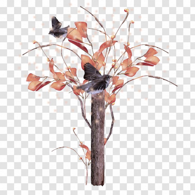 Branch Twig Tree Plant Stem - Woody Leaf Transparent PNG