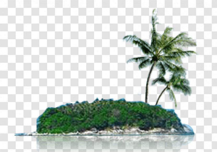 Clip Art Image Psd Island - Vegetation Transparent PNG