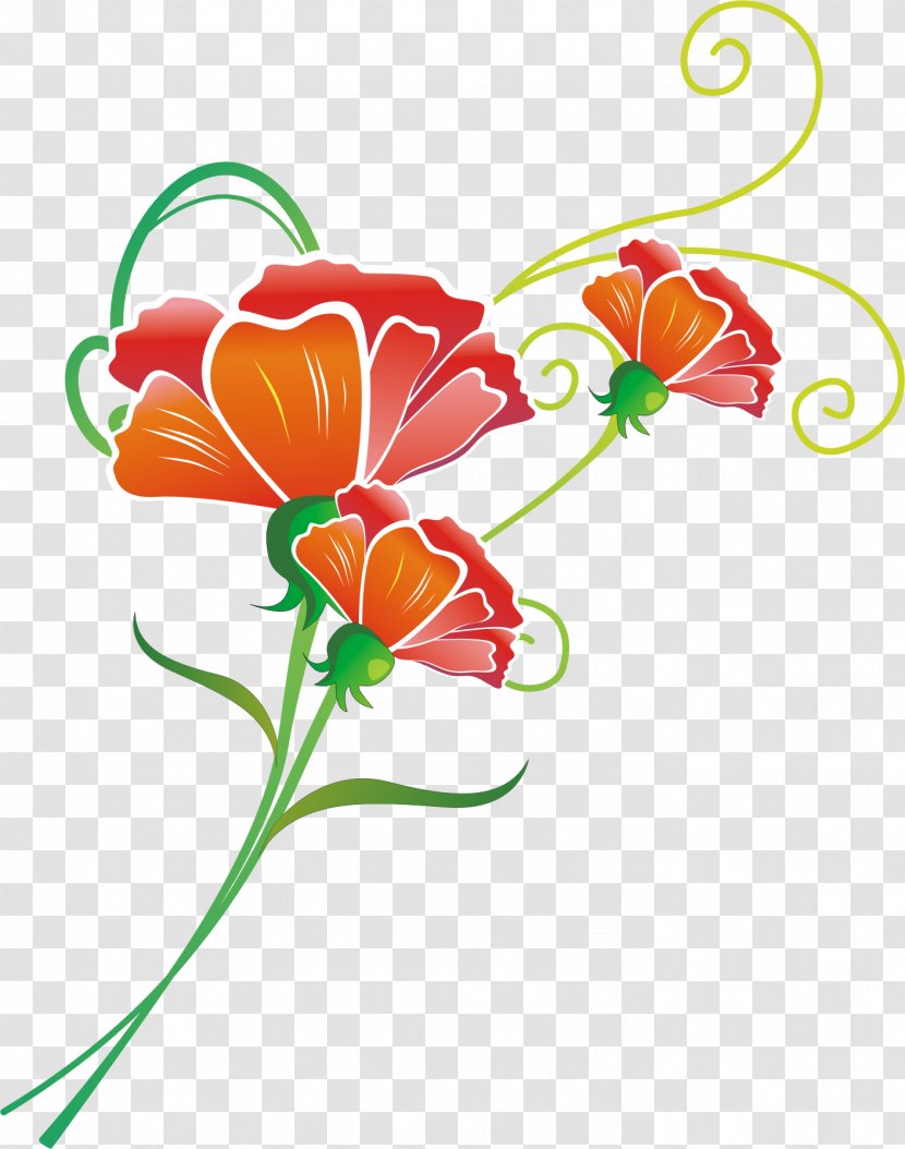 Clip Art Floral Design Carnation Flower - Plant - Morning Glory Transparent PNG