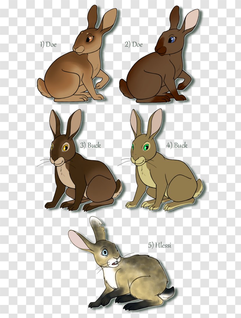 Domestic Rabbit Watership Down Hare Child - Animal - How To Draw Bunnies Transparent PNG