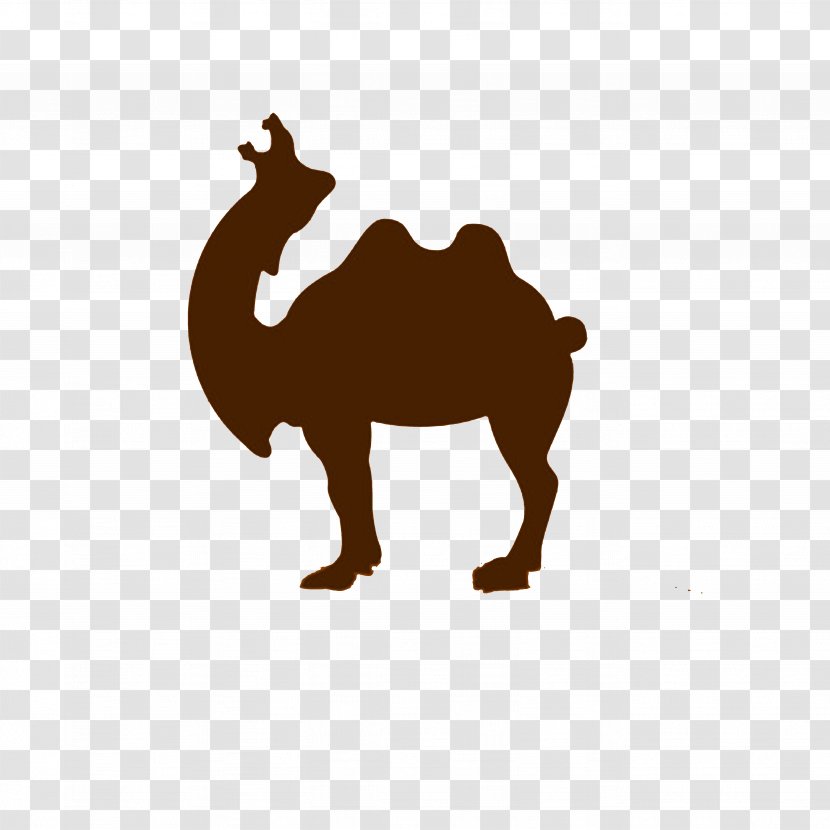 Dromedary Lion Roar - Camel Logo Transparent PNG