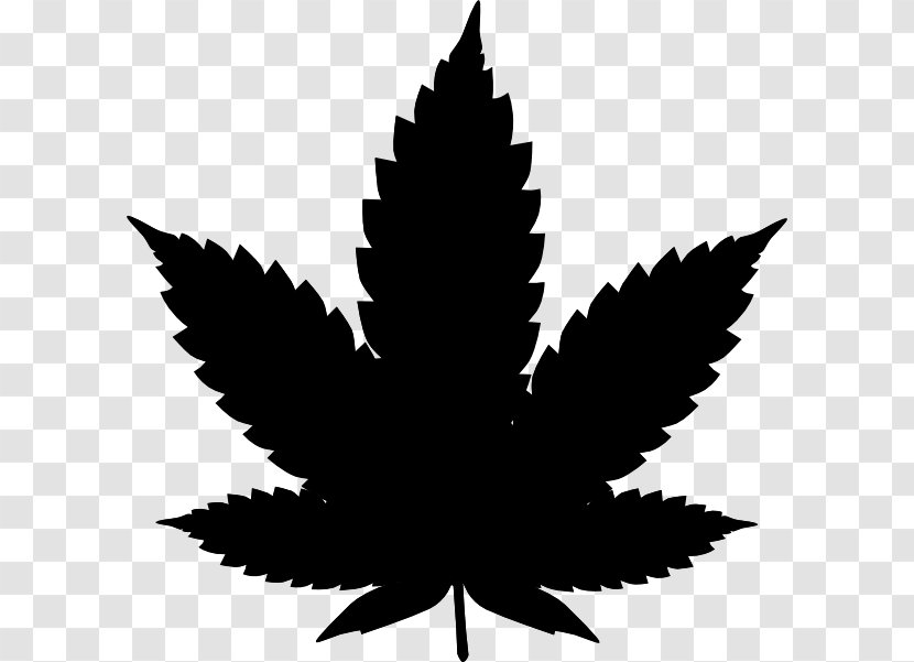 Cannabis Smoking Medical Clip Art - Hemp Leaves Transparent PNG