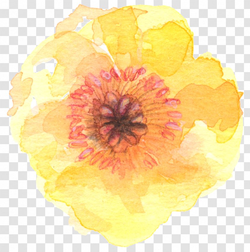 Flower Watercolor Painting Yellow - Petal - Watercolour Transparent PNG