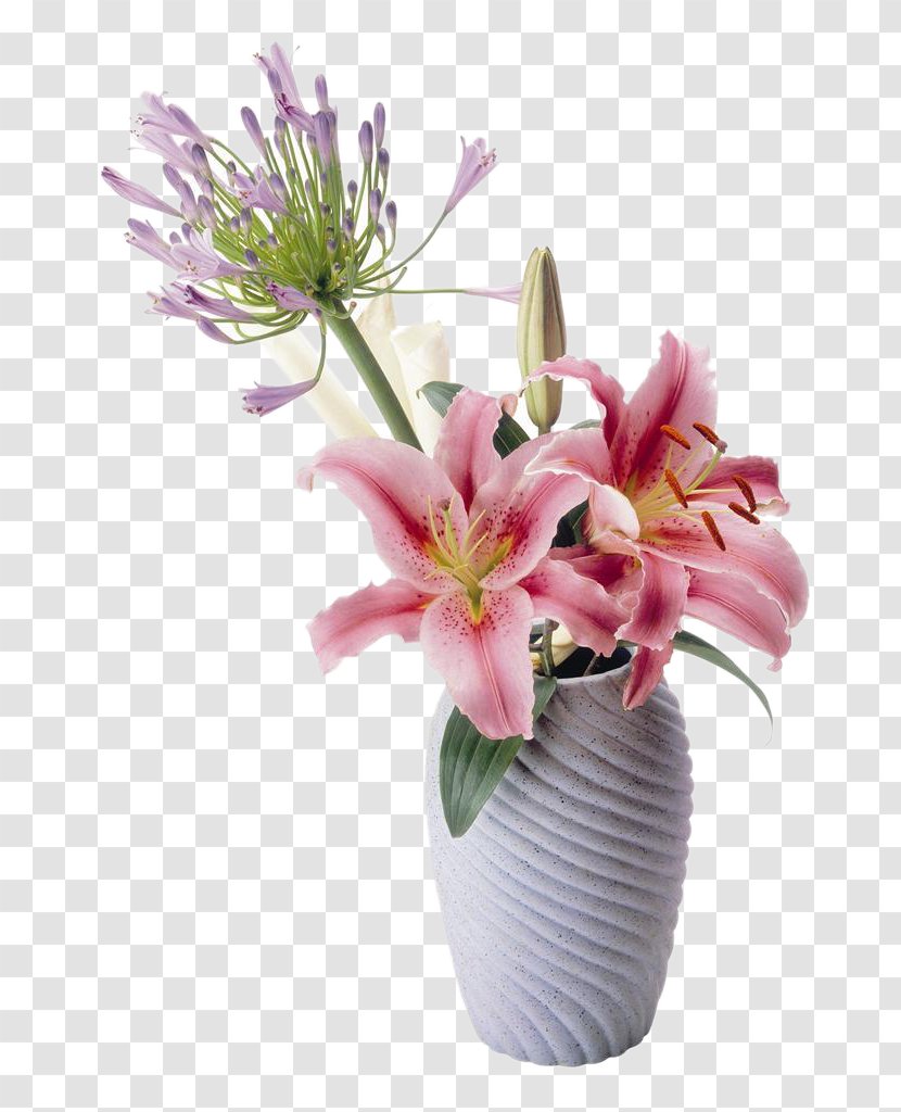 Flower Lilium Drawing - Teleflora - Table Lily Picture Material Transparent PNG