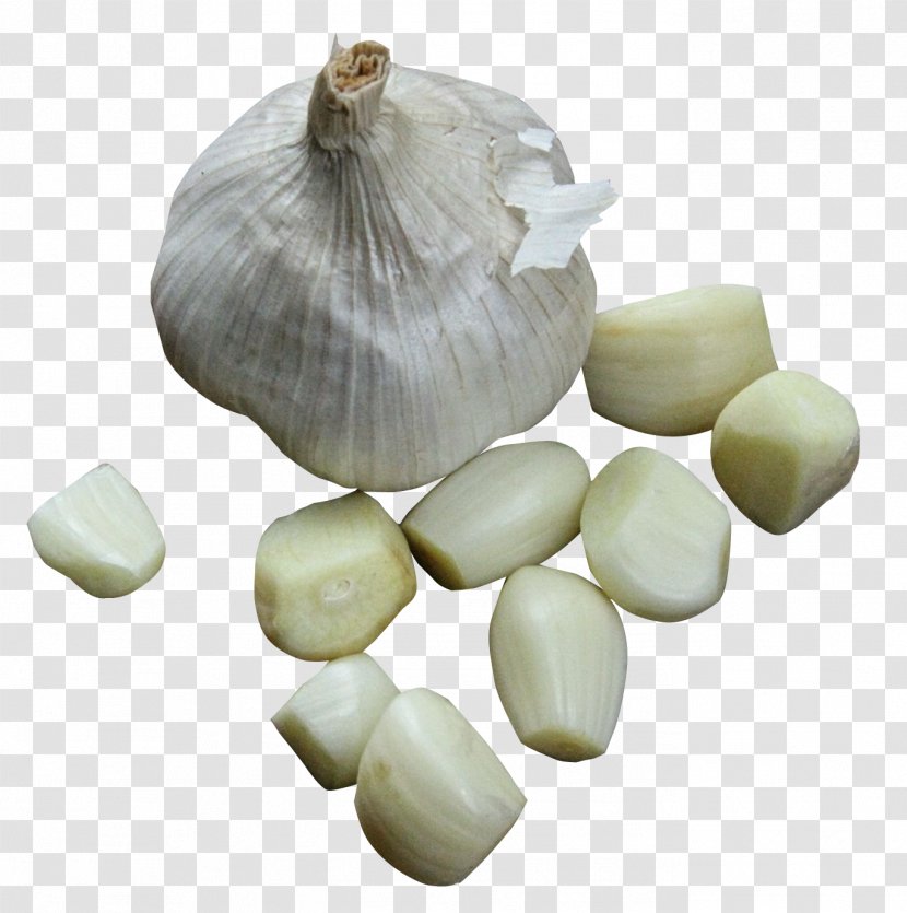 Elephant Garlic Condiment Vegetable - Barbacoa Transparent PNG