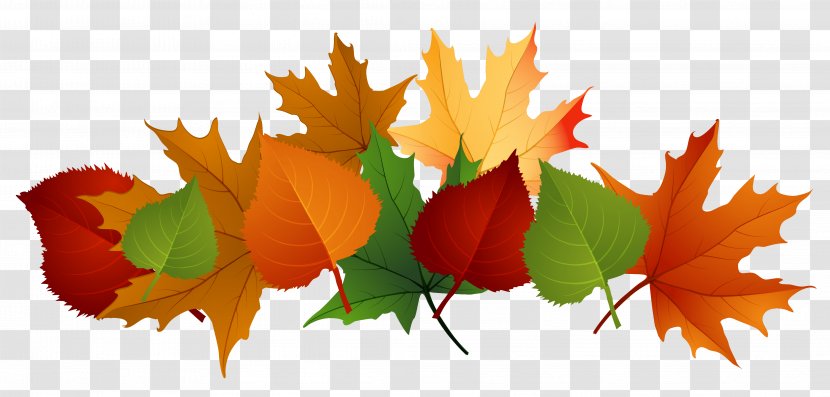 Autumn Leaf Color Clip Art - Drawing - Windy Leaves Cliparts Transparent PNG