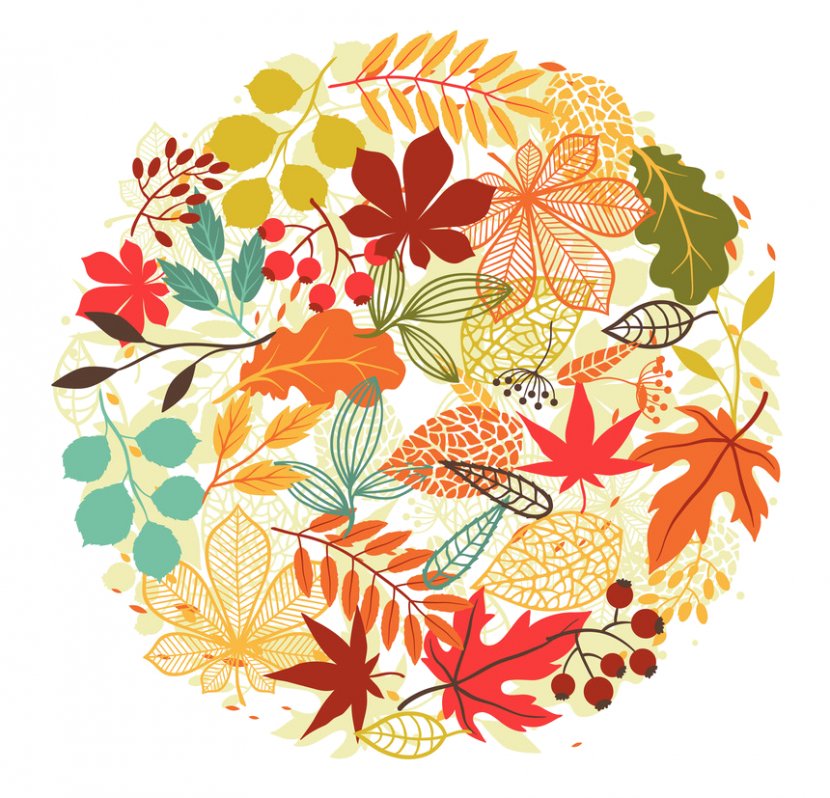 Floral Design Autumn Leaf Color Maple - Flora Transparent PNG