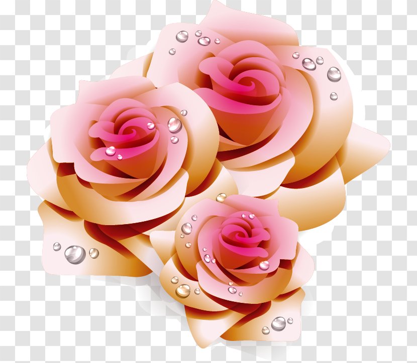 Wedding Invitation Illustration - Flower - Dream Pink Rose Pattern Transparent PNG